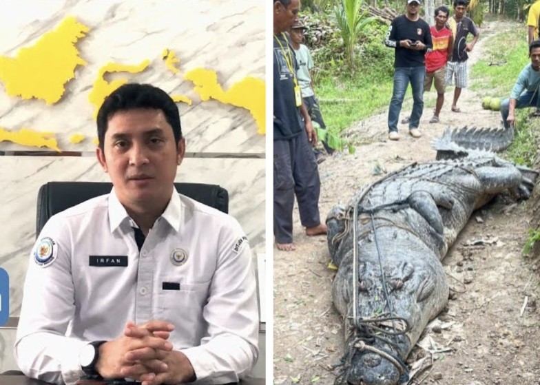 Loka Kawasan Konservasi Perairan Nasional (LKKPN) Pekanbaru, Rahmat Hidayat (kiri) respon viralnya video buaya raksasa di Inhil (foto/int)